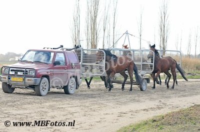 _MBF2358.jpg
