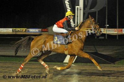 Koers 6. Queiros de Nancras1.jpg