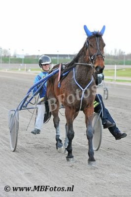 Koers 3. Cindy Wielinga4.jpg