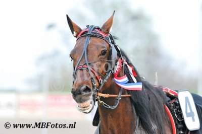 Koers 5. Regio2.jpg