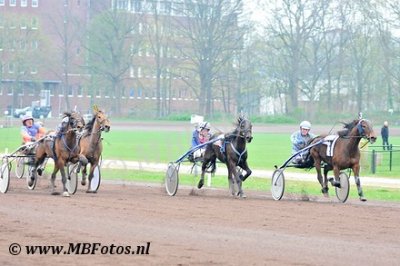 Koers 7. Brainwave1.jpg