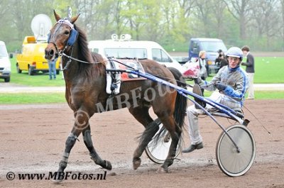 Koers 7. Brainwave3.jpg