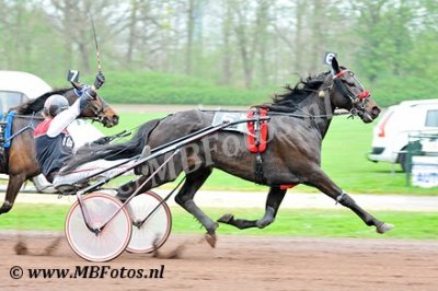 Koers 8. Bokito Starlake1.jpg