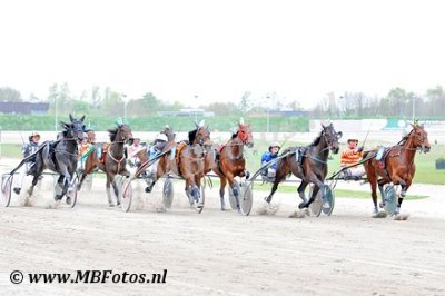 Koers 2. Zaido Dragon1.jpg