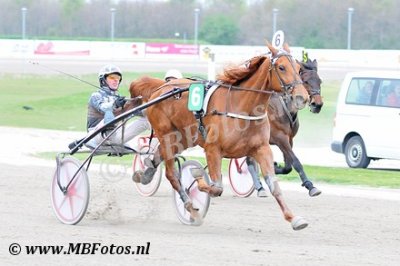 Koers 4. Caro Star1.jpg