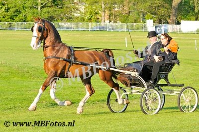 Koers 8. Warrior Victory3.jpg