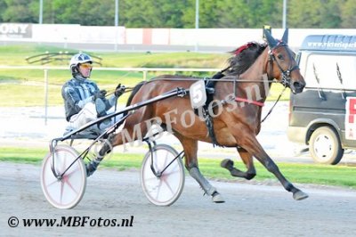Koers 6. Regina dei Rex1.jpg