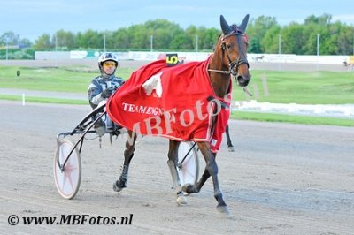 Koers 6. Regina dei Rex3.jpg