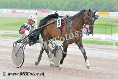 Koers 5. Petit Javanais3.jpg