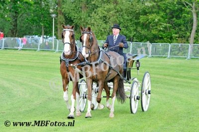 _MBF7987.jpg