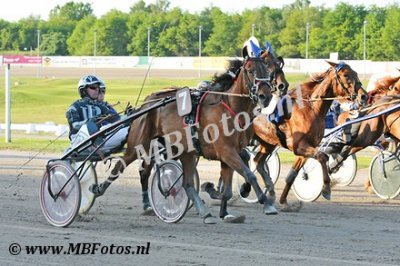 Koers 7. Elegance Fanatic1-2.jpg