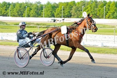 Koers 7. Elegance Fanatic1.jpg