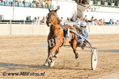 Koers 4. Explosive Shadow1.jpg