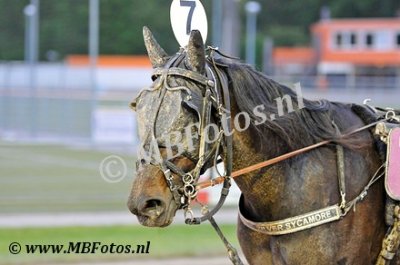 Koers 8. Zilver Sycamore2.jpg