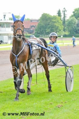 Koers 10. Alonso Meadow2.jpg