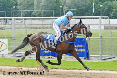 Koers 7 - Yuccano Wood1.jpg