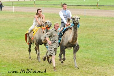 Tussen de koersen door.