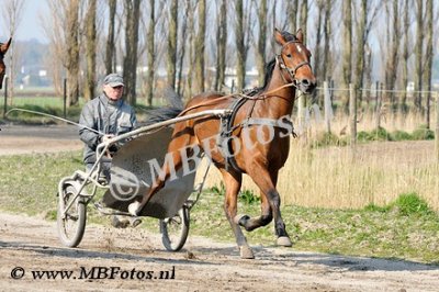 _MBF1190.jpg