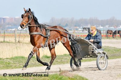 _MBF1258.jpg