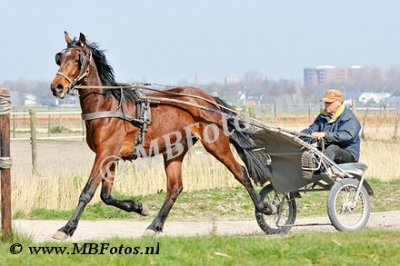 _MBF1262.jpg