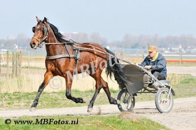 _MBF1266.jpg