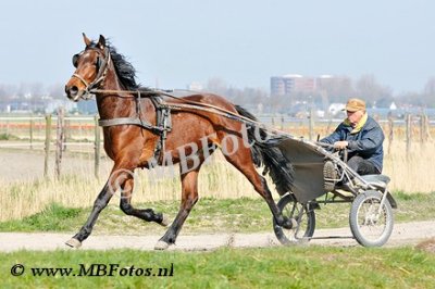 _MBF1268.jpg