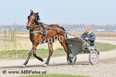 _MBF1284.jpg