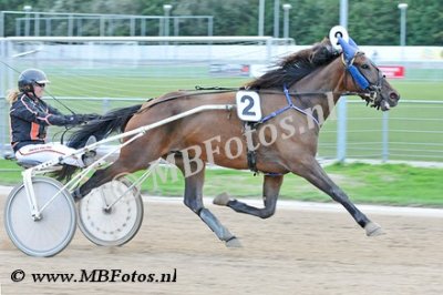 koers 5. Dreamline Promise1.jpg