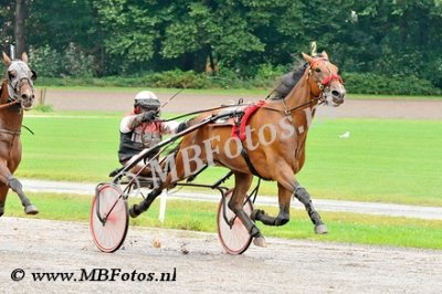 Koers 7. Love is in the air1.jpg