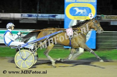 Koers 8. Cassari.jpg