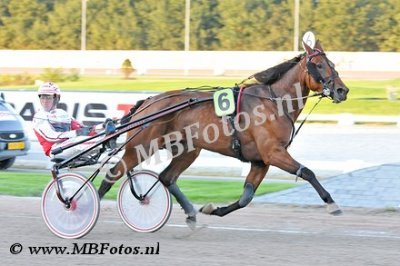 Koers 9. Diamond1.jpg