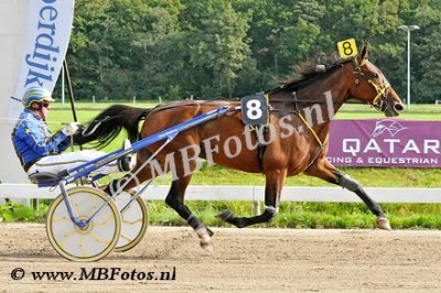 Koers 6. Bibi Barosso1.jpg