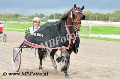 Koers 0. Farao F Boko3.jpg