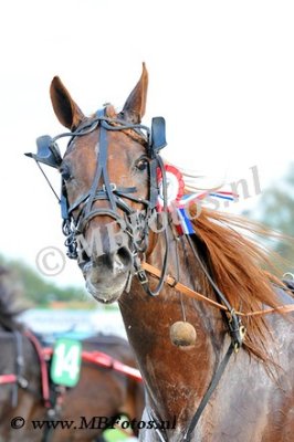 Koers 1. Udia Ringeat3.jpg