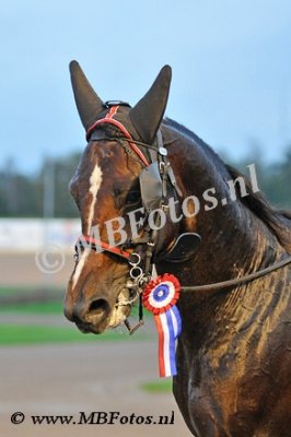 Koers 4. Rovero d'Asolo3.jpg