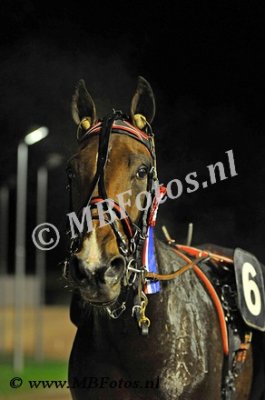 Koers 6. Excellent Love3.jpg