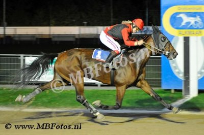 Koers 6. Confiance BD1.jpg