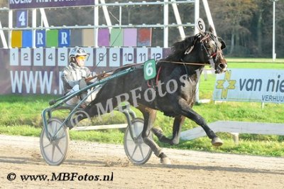 Koers 4. Tuonoblu Rex1.jpg