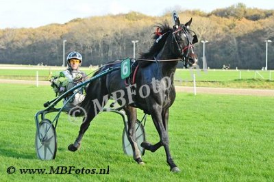 Koers 4. Tuonoblu Rex3.jpg