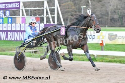 Koers 8. Elano di Quattro1.jpg