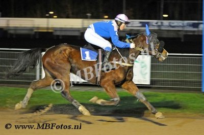 Koers 3. Troy Simoni1.jpg
