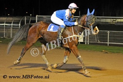 Koers 3. Troy Simoni4.jpg