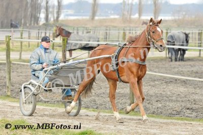 _MBF0752.jpg