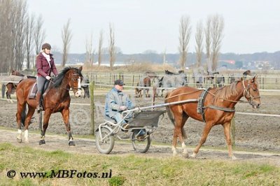 _MBF0778.jpg