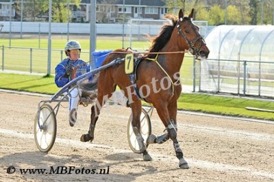 Koers 1. Eye of the tiger3.jpg