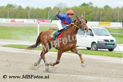 Koers 5. Quango1.jpg