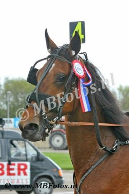 Koers 9. Fine Boko3.jpg