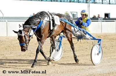 Koers 1. Classic Lady3.jpg