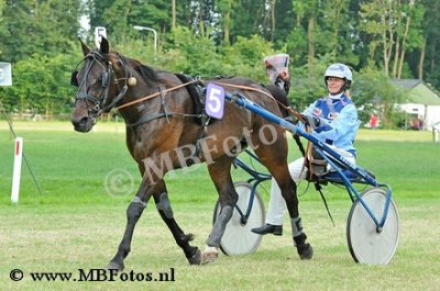 Koers 8. Adelaar2.jpg