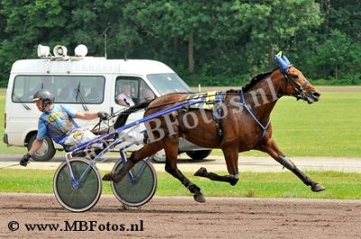Koers 6. Alonso Meadow1.jpg